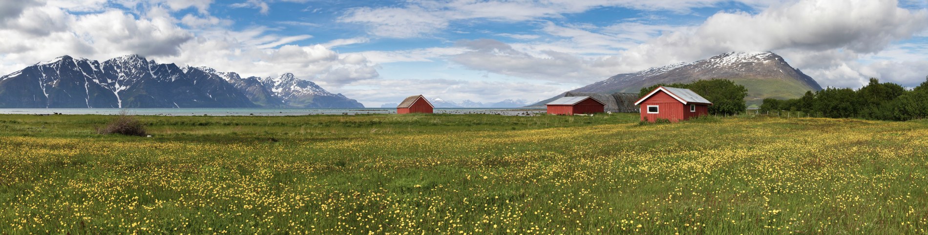 Lyngenfjord bei Spåkenes mit roter Hütte, Küstenwiese und schneebedeckten Bergen